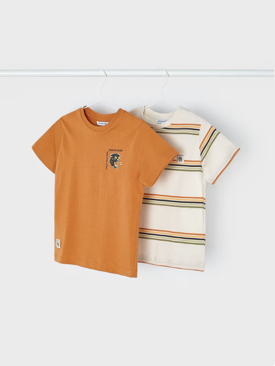 3009 Mini Boys S/S 2PC TShirt Set - Paprika Panther/Stripe