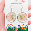 Genuine Pressed Flower Hook 1.75" DIA Dangle Earrings, Delphinium & Queen Anne's Lace