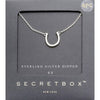 Secret Box Sterling Silver Dipped CZ Horseshoe Pendant Necklace: Silver
