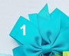 Grosgrain 3" Double Loop Bow Pony Tail Tie 2 PC Set (CLICK TO SELECT COLORS)