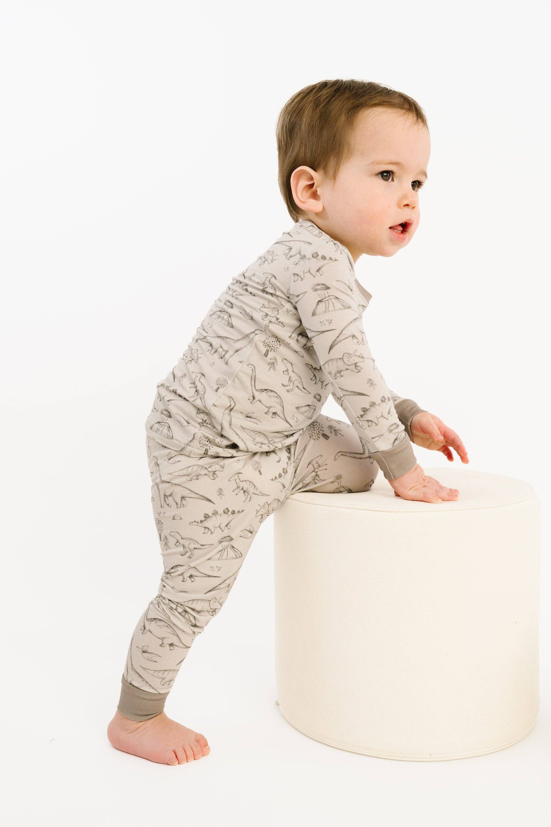 Bamboo 2PC L/S Kids PJs - Dino Doodles Grey