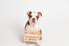 Baby Announcement: Wooden Pet Parent Human Baby Pregnancy Announcement Customizable Sign