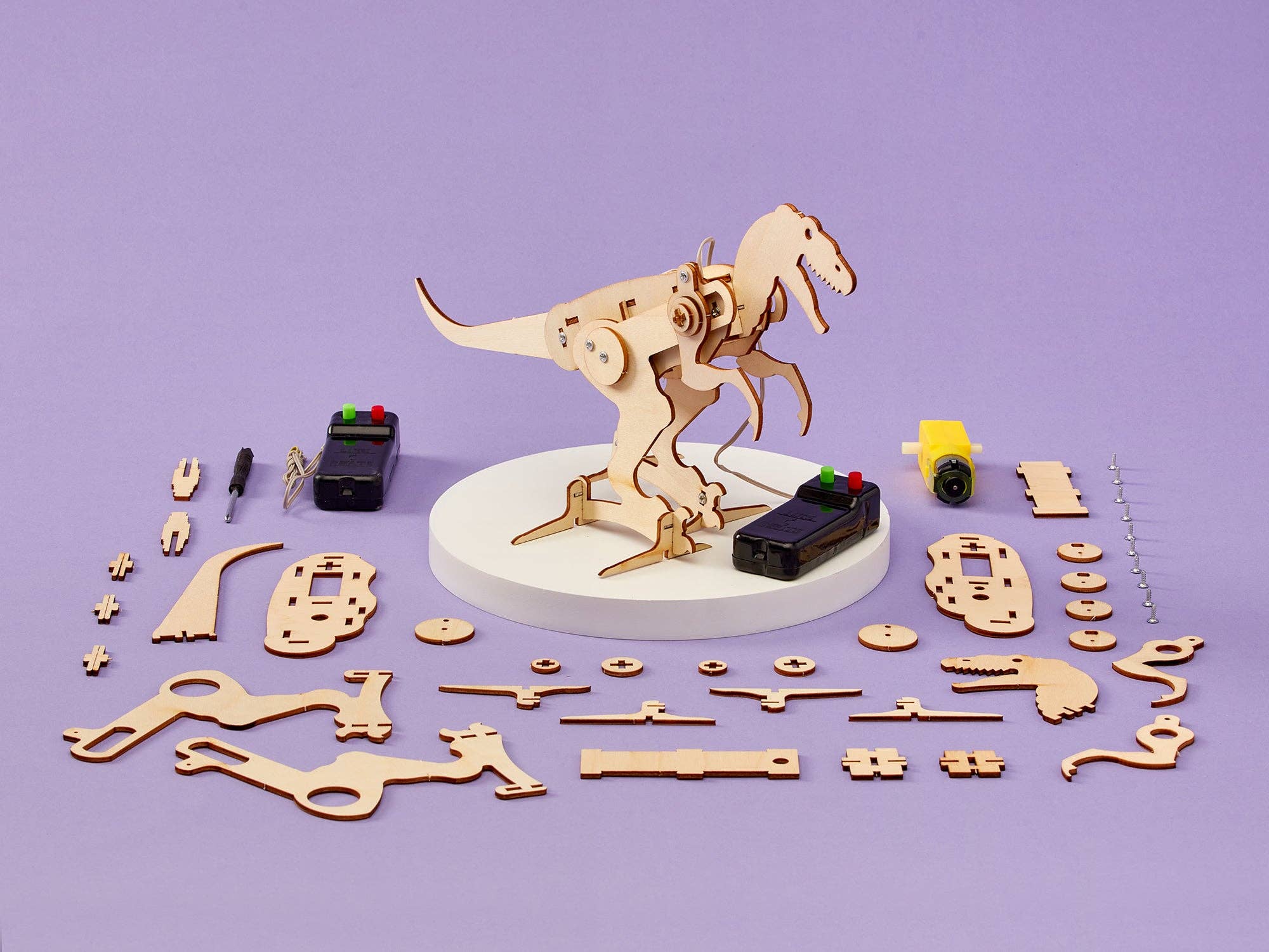 Tween/Teen DIY Toy Craft STEM Kit, Battery Powered Dinosaur Robot T-Rex, 8Y+