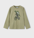 4087 Mini Boys Eco-Sustainable Cotton L/S Graphic T-Shirt - Pistachio Dinosaur
