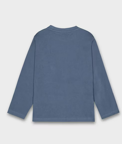 4089 Mini Boys L/S Graphic 3D Embossed Puffy Print - Blue Dinosaur back