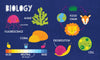 Board Book, Padded: My First 100 Science Words