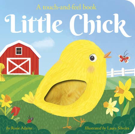 Book - Touch and Feel Board Book, Little Chick