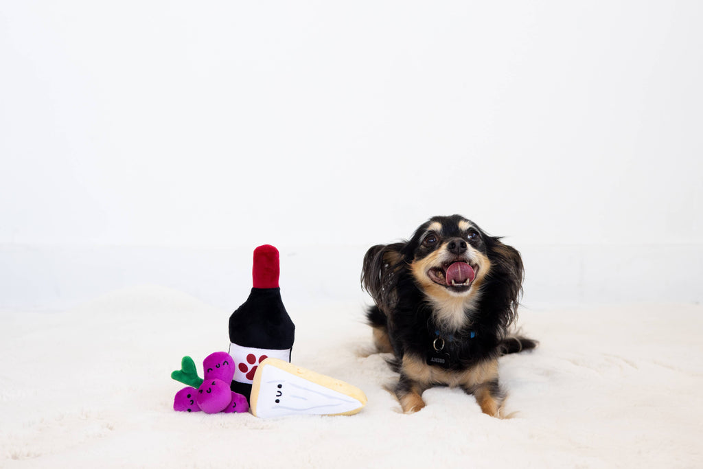Dog Chew Toy Pawrcuterie Board 3PC Plush and Squeaker Toys Set, Wine, Grapes, and Cheese