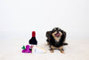 Dog Chew Toy Pawrcuterie Board 3PC Plush and Squeaker Toys Set, Wine, Grapes, and Cheese