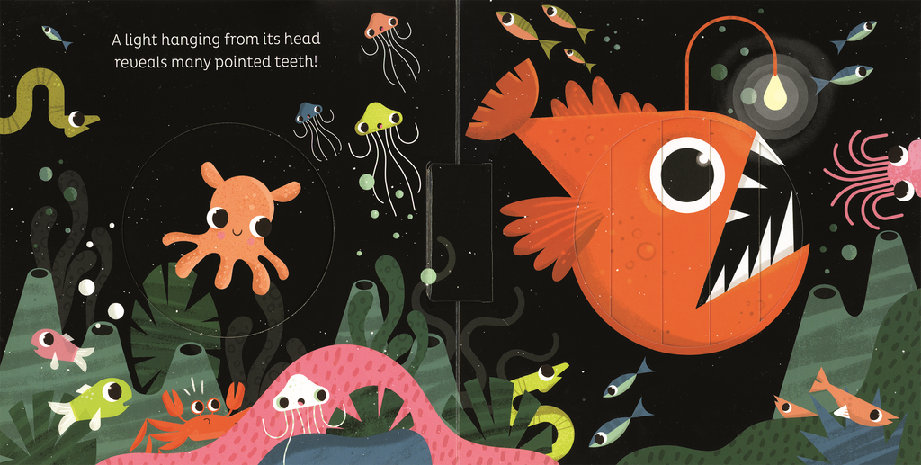 Book - Interactive Magic Window: In the Ocean