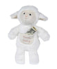 Tooth Fairy Pocket Plush Toy - Farm Friends, White Lamb