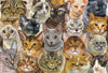 Cat Lovers Puzzle in a Cube (100 pcs)