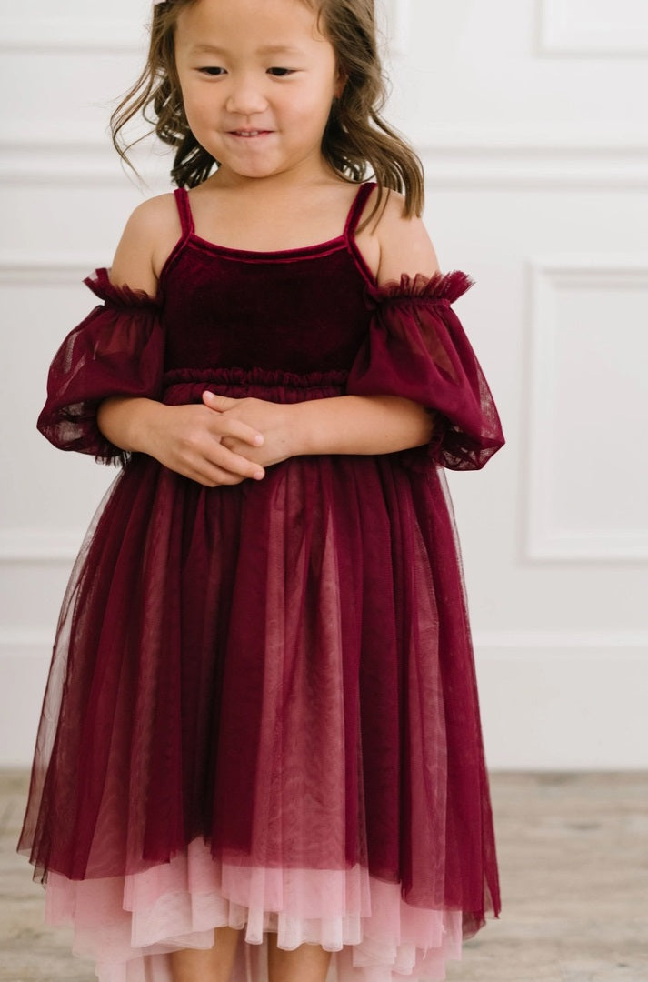 Ollie Jay Velvet Layered Ombre Tulle Gown - Everly Wine & Pink