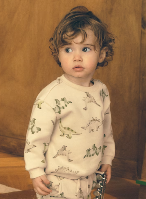 2416 Toddler Boy Natural and Green Dino Print Crewneck Sweatshirt - Light Taupe