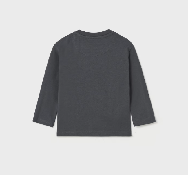Flip Flap L/S TShirt - Charcoal Super Fox - Back