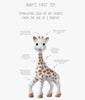 Sophie La Girafe - CLASSIC Sophie the Giraffe Natural Rubber Teething Toy