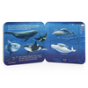Board Book - Interactive Lift-a-Flap: Ocean