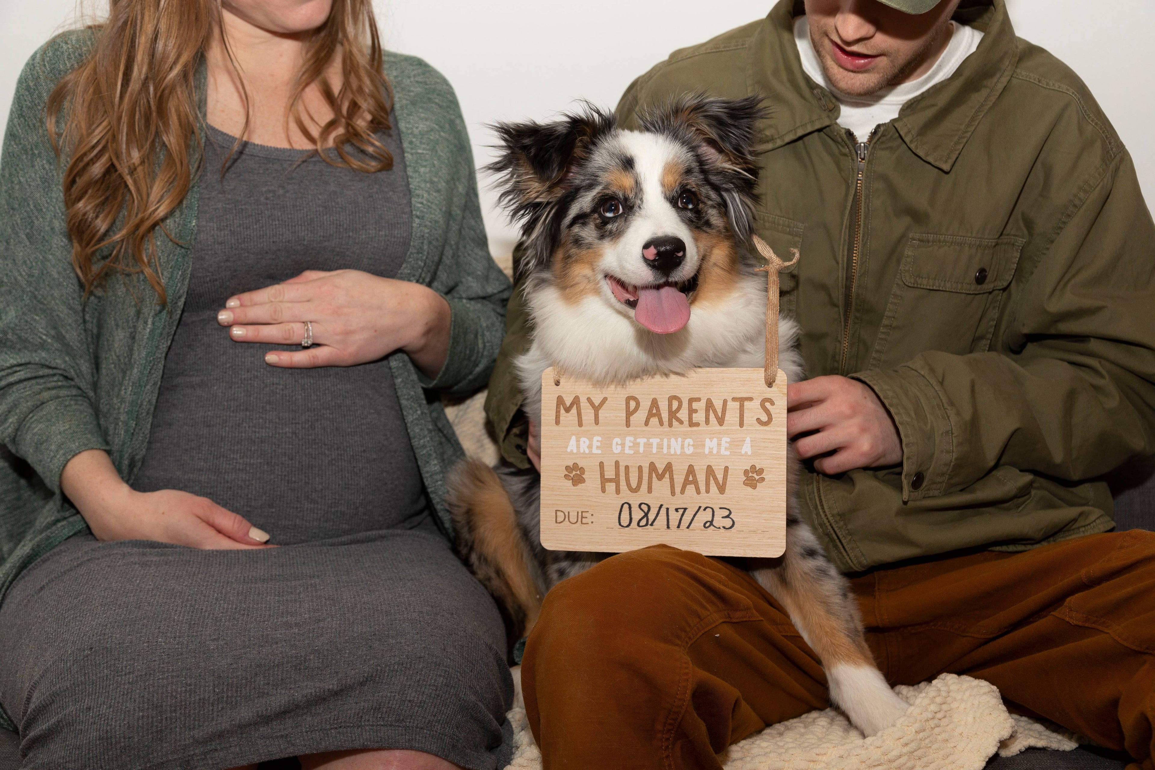 Baby Announcement: Wooden Pet Parent Human Baby Pregnancy Announcement Customizable Sign
