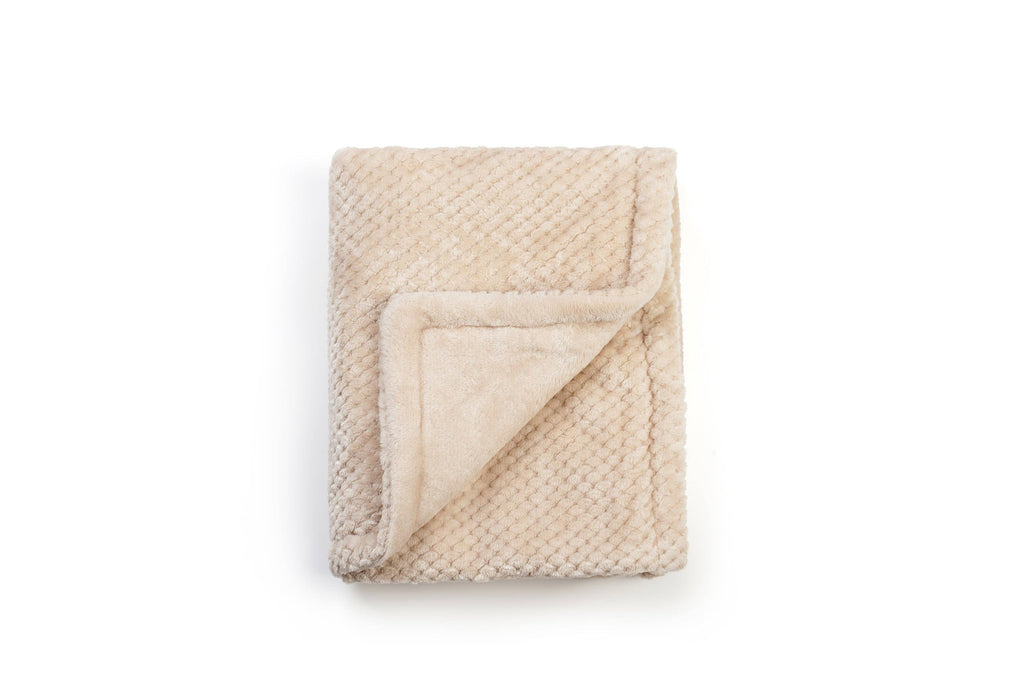 Minky Plush Baby Blanket with Plush Cuddle Toy: Beige Bear