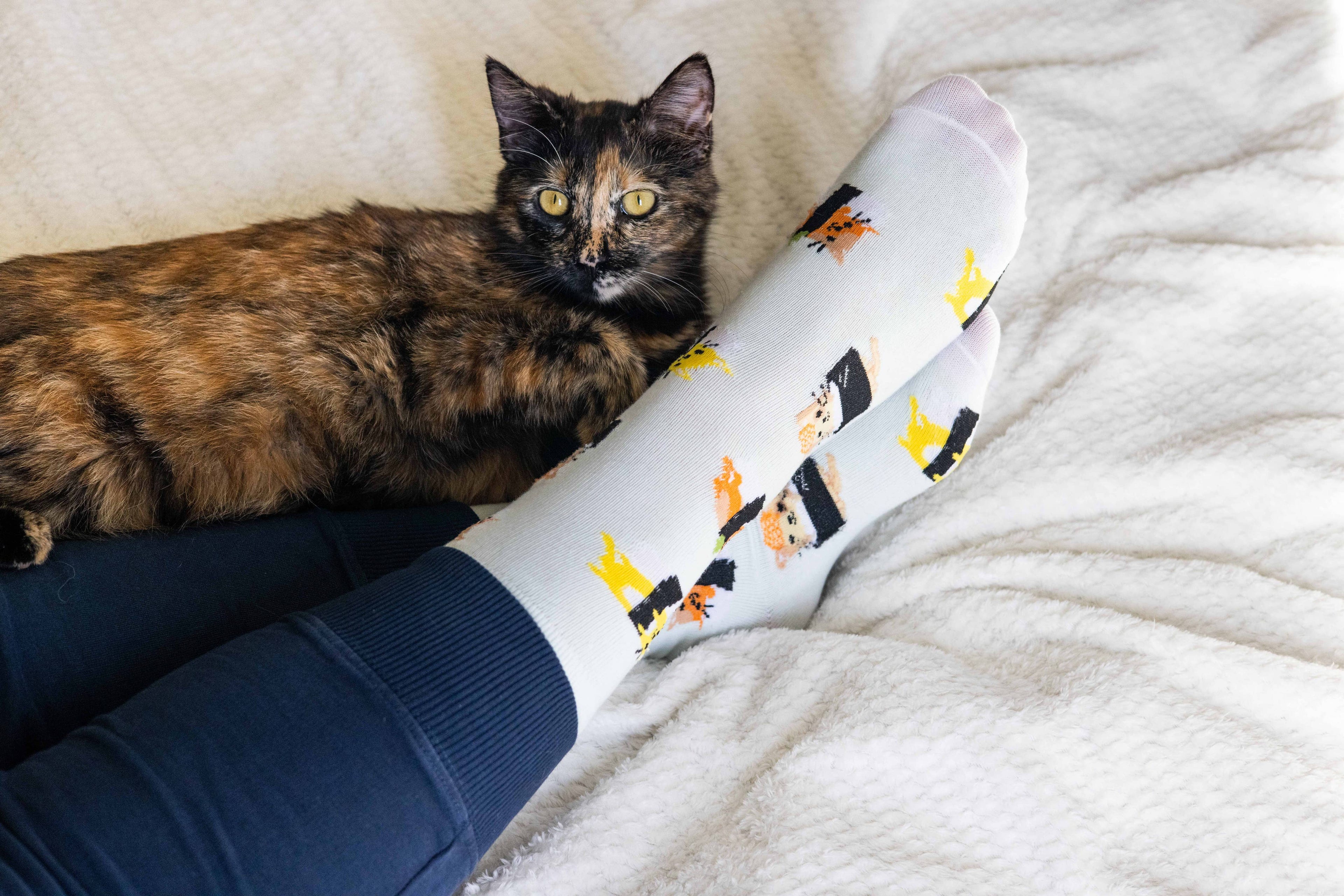 Cat Sushi Socks, Pet Owner Apparel, Unisex Crew Socks
