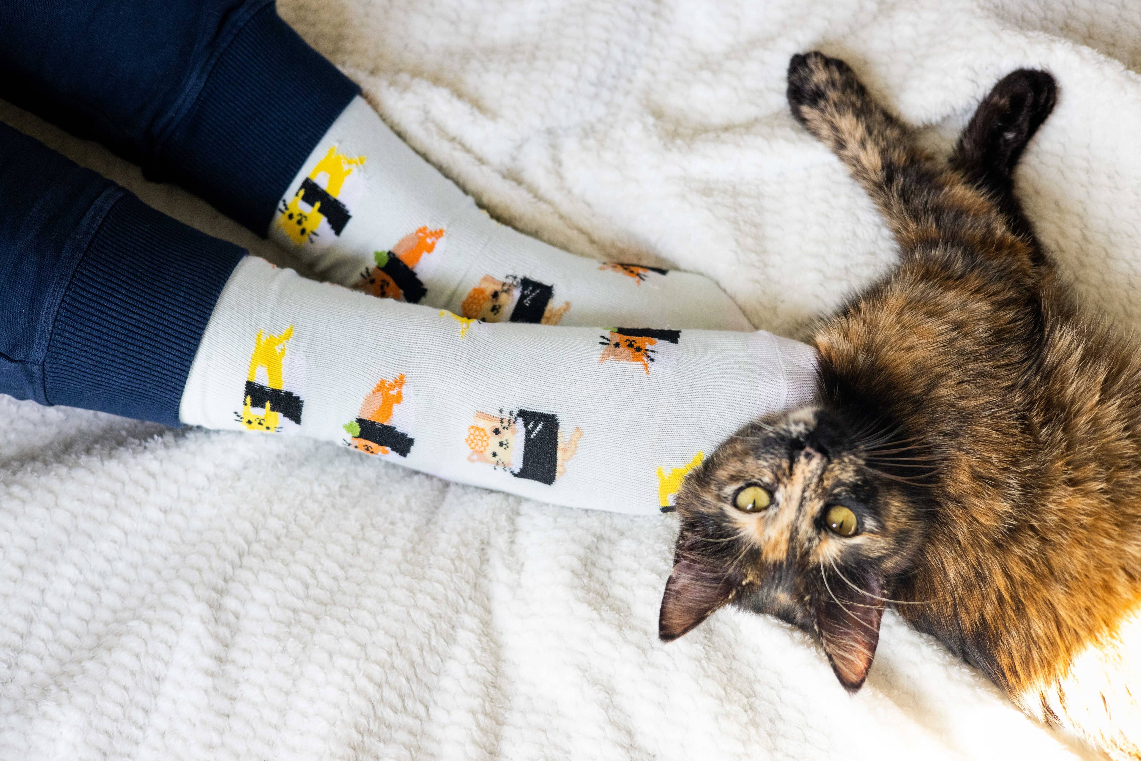 Cat Sushi Socks, Pet Owner Apparel, Unisex Crew Socks
