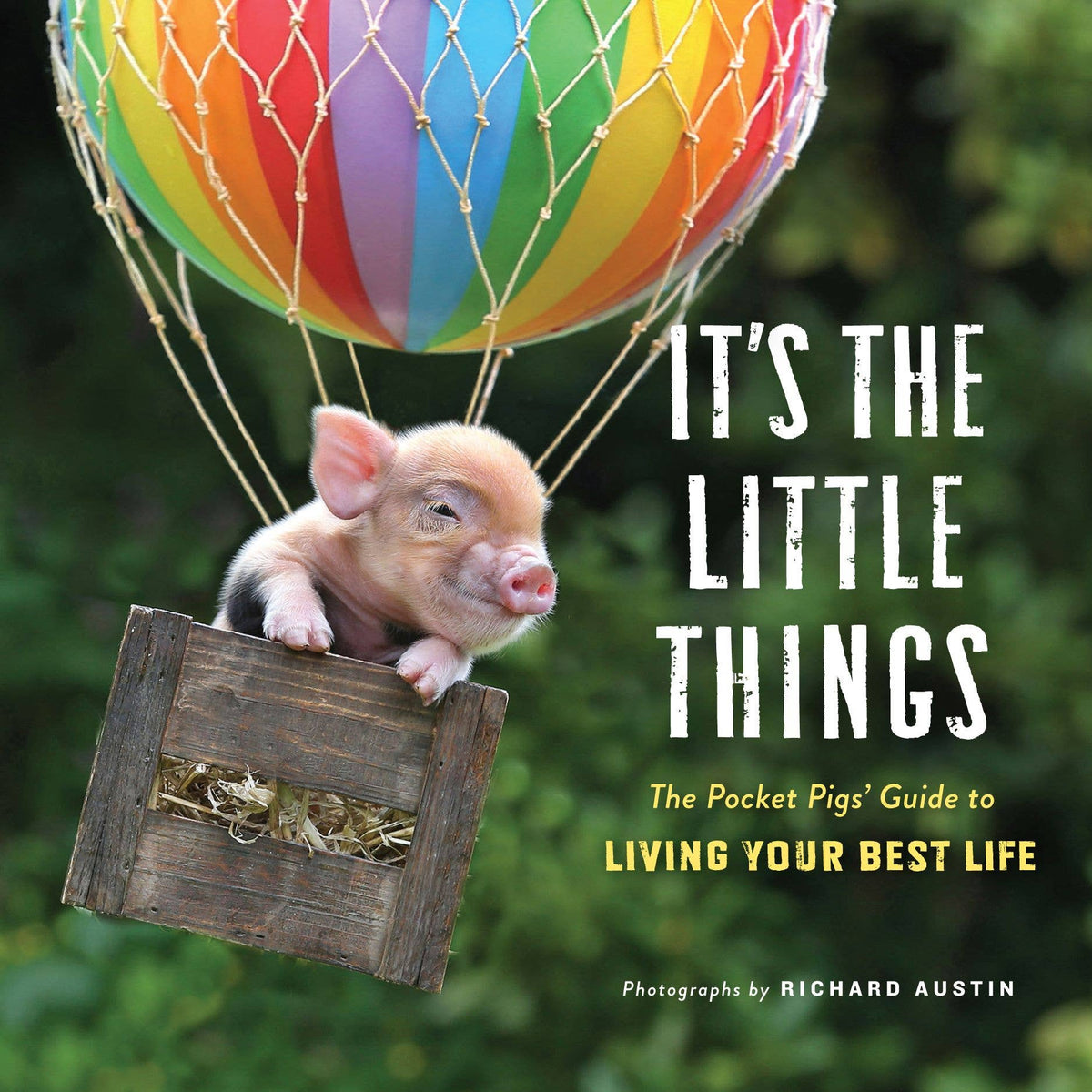 It's the Little Things Pocket Pigs gift book, front cover