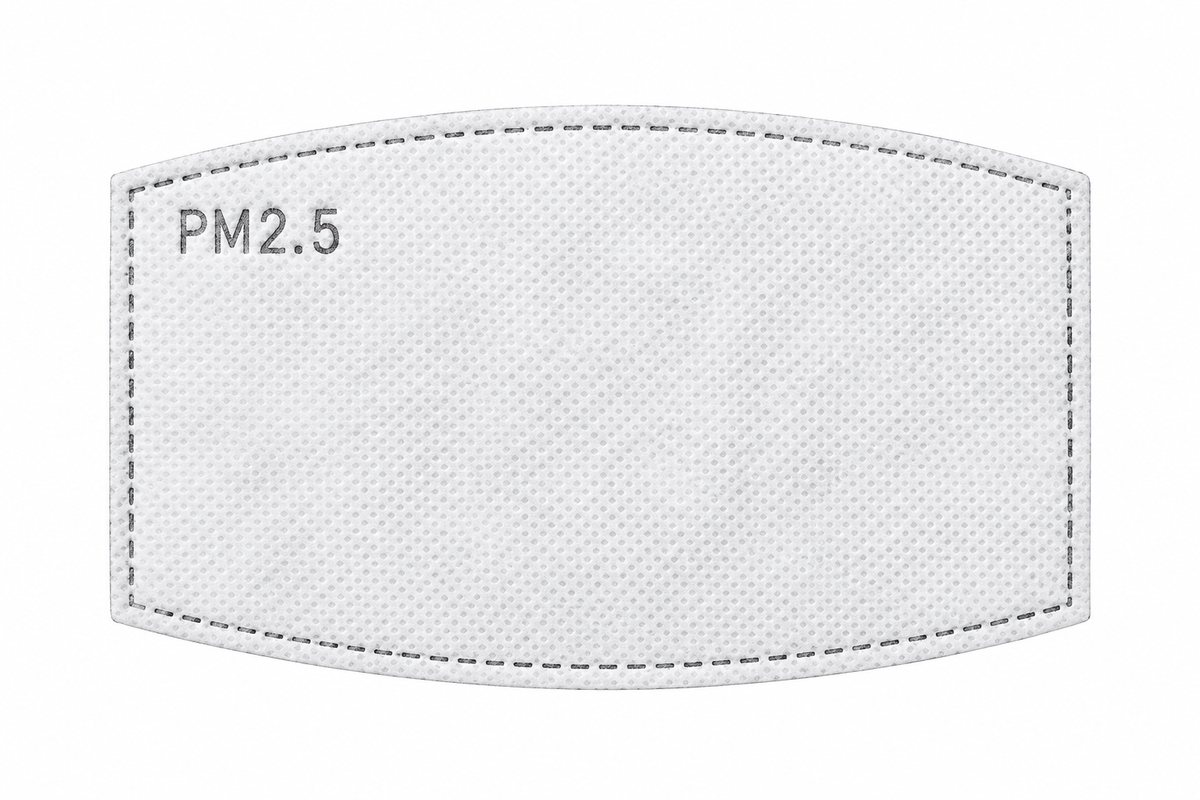 Spare PM2.5 filter insert for the BTS face mask