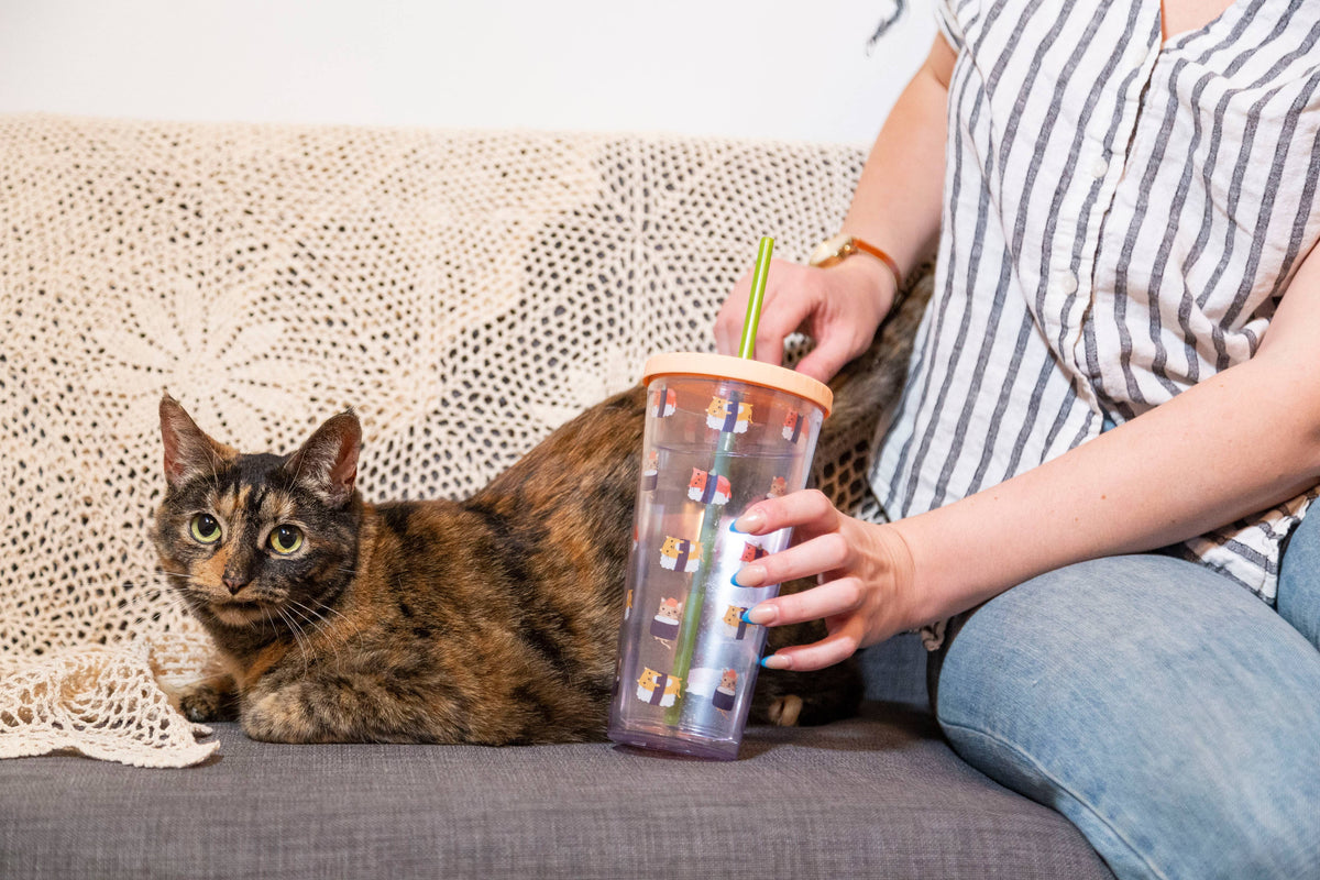 Cat sushi print water tumbler, held with cat