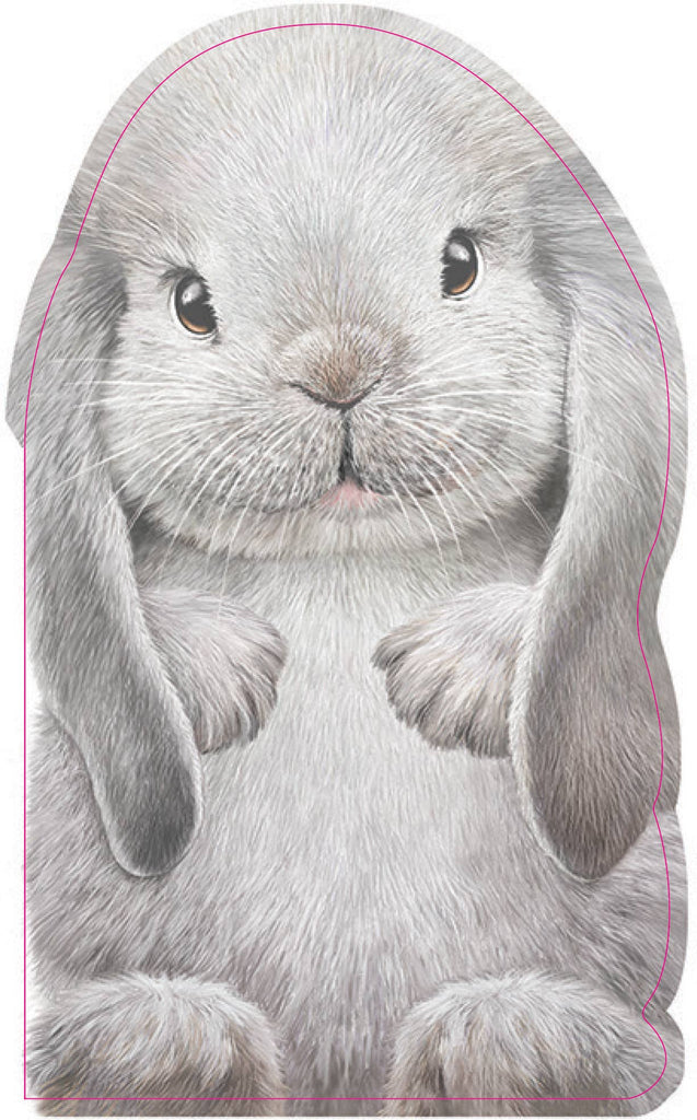 Board Book, Animal Shaped Touch and Feel Book - Furry Bunny