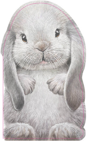 Board Book, Animal Shaped Touch and Feel Book - Furry Bunny