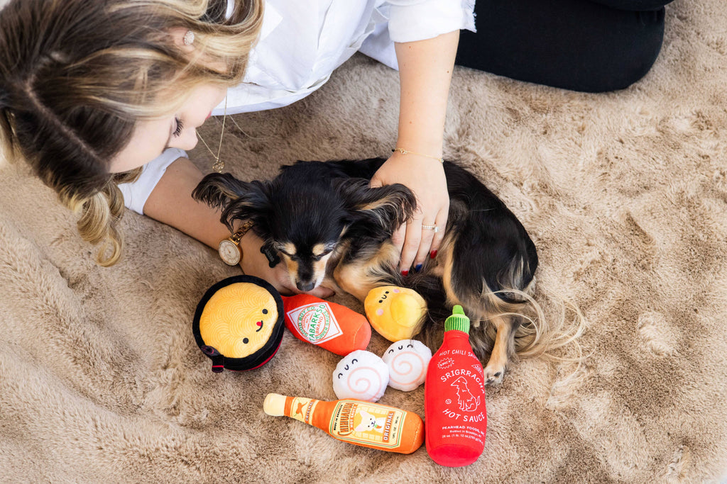 Hot Pupper Sauce plush dog toy set, dog playing