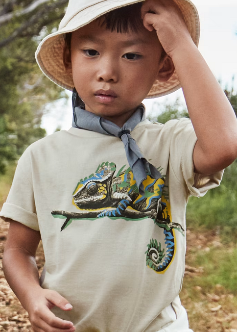 Mayoral boys eco-sustainable natural chameleon graphic print, crystal, front view
