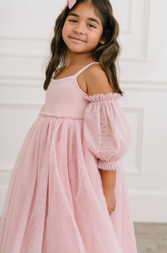 Ollie Jay Everly velvet ombre tulle gown, rose pink, close up