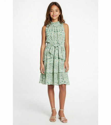 Mini/Tween Girls Tiered Chiffon Dress: Light Green Daisy