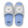 BT21 Plush Indoor/Outdoor House Slippers, Open Toed - Grey RJ