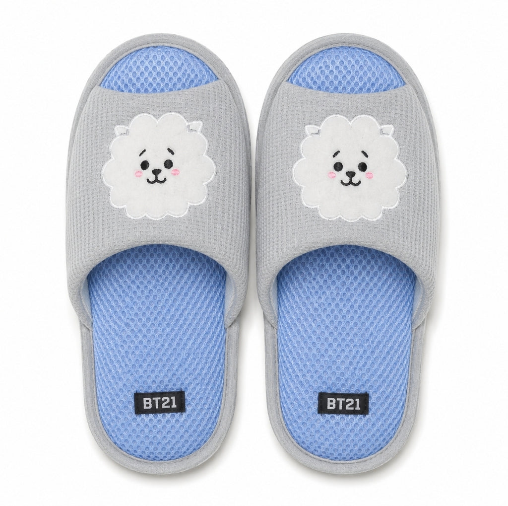 BT21 Plush Indoor/Outdoor House Slippers, Open Toed - Grey RJ