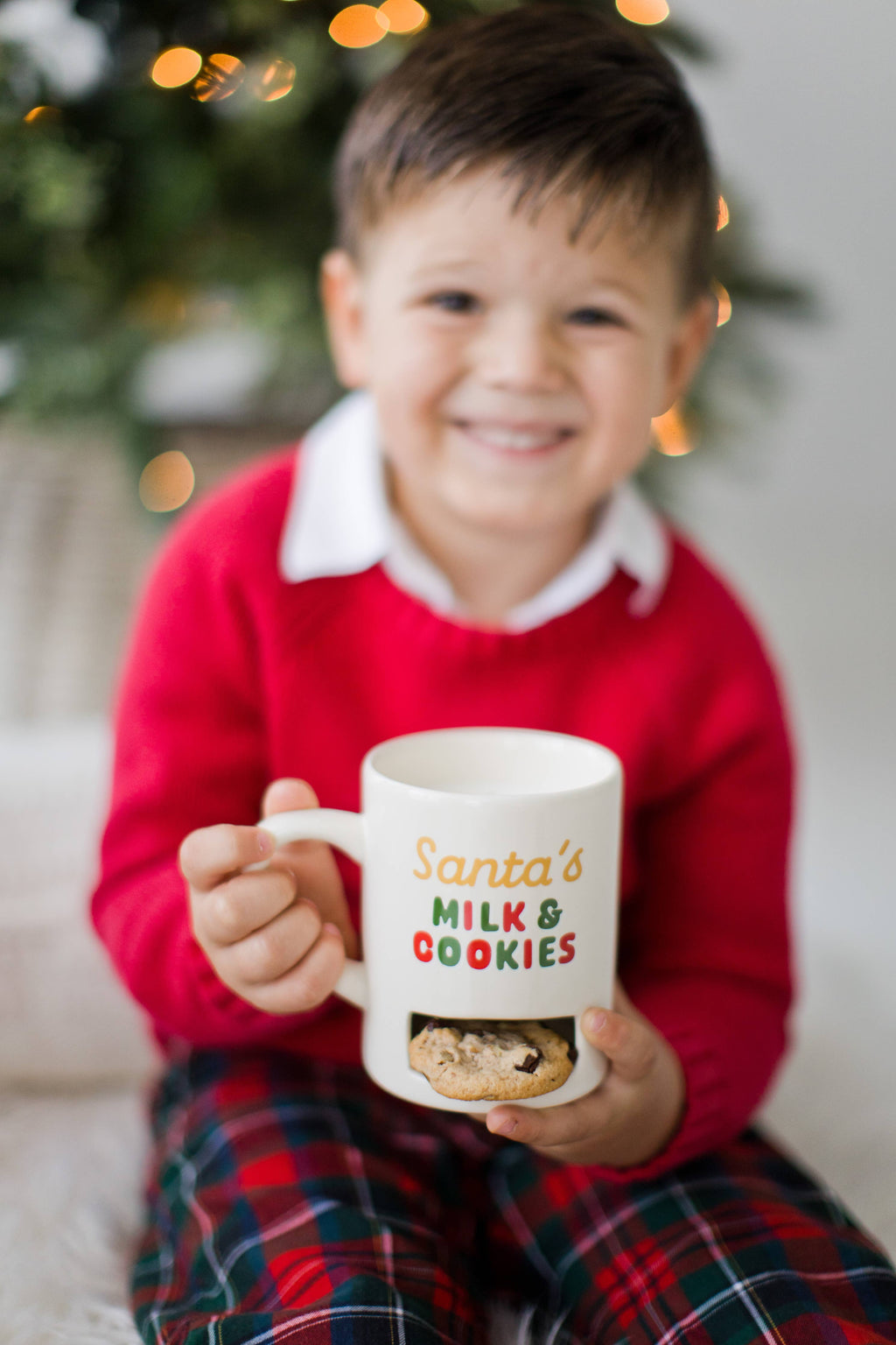 Smiling boy with the Santa's Milk and Cookies mug