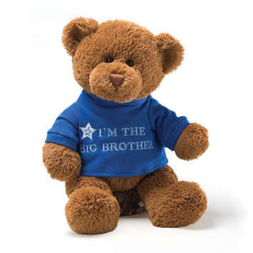 Gund - I'm The Big Brother T-Shirt Teddy Bear, 12"