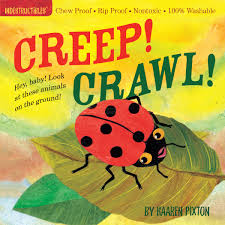 Book - Indestructibles, Chew-Proof, Washable Book - Creep Crawl