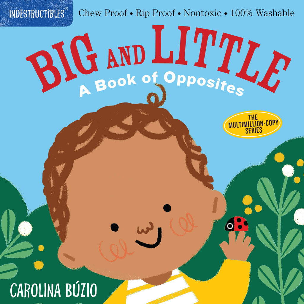 Big and Little A Book of Opposites, Indestructibles, Chew Proof, Rip Proof, Non Toxic, Front
