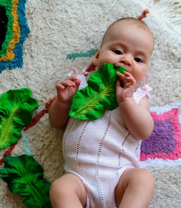 Oli & Carol Natural Hevea Tree Rubber Chew/Teething & Bath Toy - Kenda –  Bubble Belly moms, babies